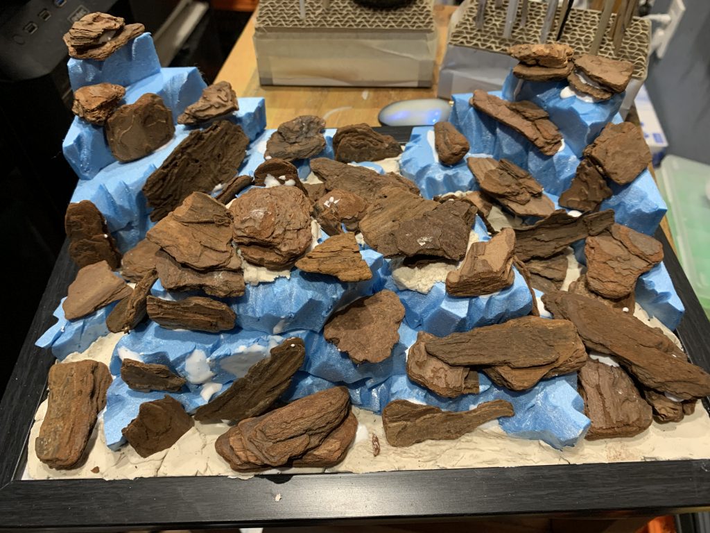 スタイロフォームとバークチップがメインで足場の岩場を作ってます。