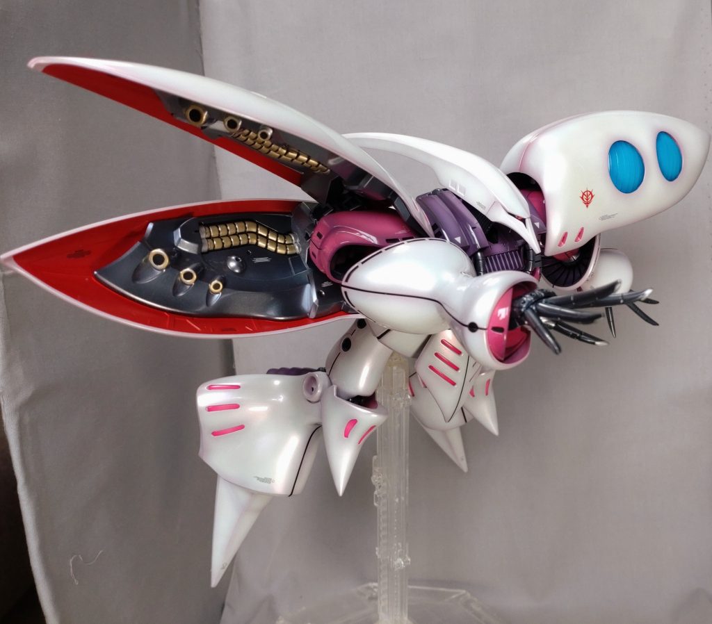 写真〜には〜🎵