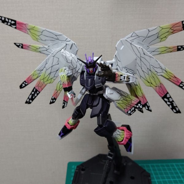 和模様(蝶)HGフリーダムガンダム