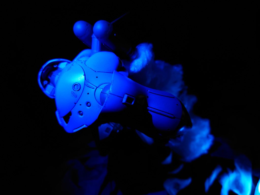 今回は色と小物で海中をイメージしてみました。