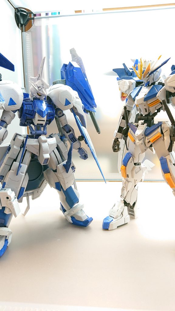 白天騎士団の団長とは共に戦うが目立ちたがりを注意されたり、連携が上手くいかなくなったりで対立することもしばしばしかし副団長は知らない今目の前で対立して反抗している団長が実は憧れの姫だということに