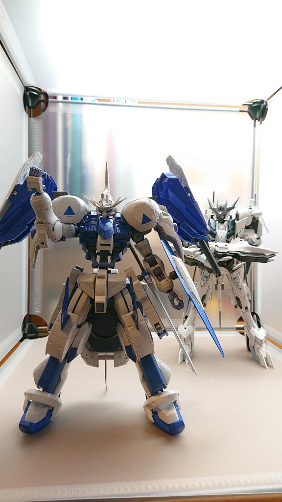 副団長[俺には夢がある！！いつかこの王国の姫を守る騎士になること！！笑うやつは笑え！俺は絶対に夢を叶える！ハハハハハハハハ！！]ヴォルフのパイロット[一応もう夢を叶えてるんだけどなぁ・・・・・まぁ教えなくて良いか]と思うヴォルフのパイロットなのであった