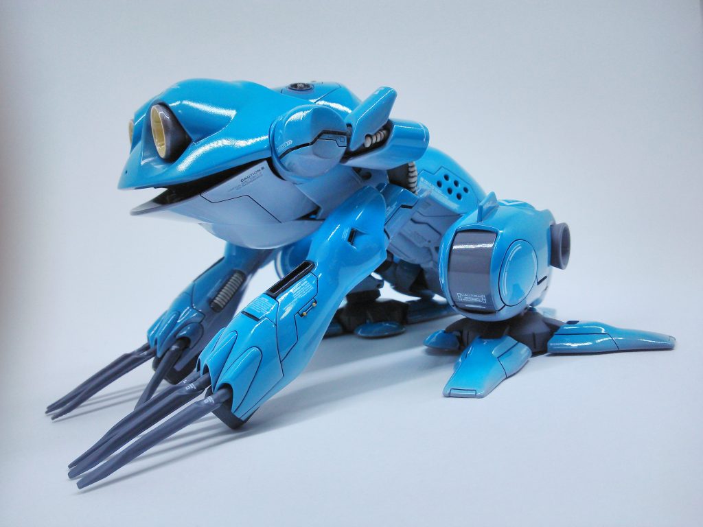 背中、カエルやんw