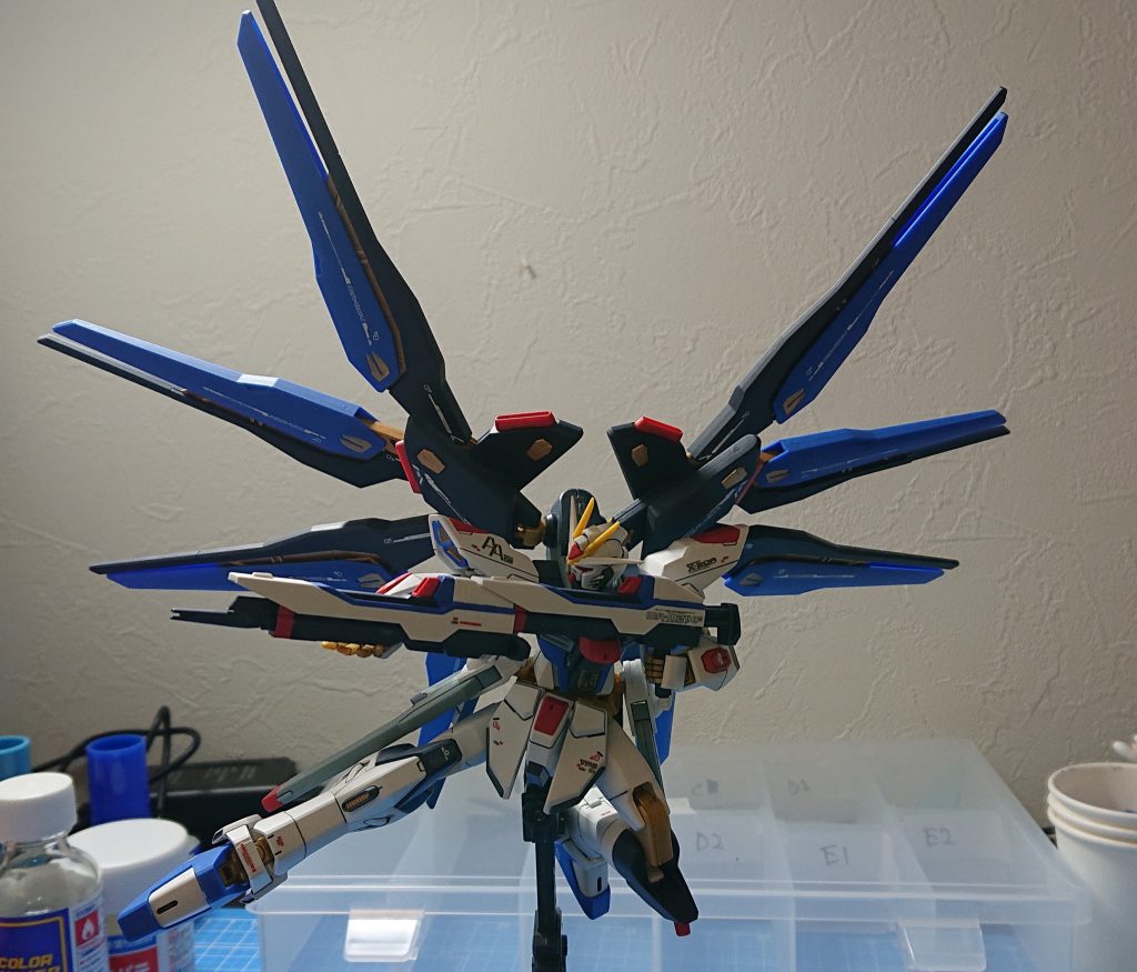 お約束のポーズ