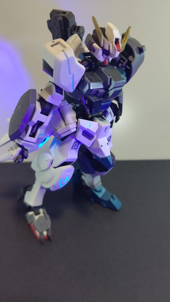 右半身は軽量装甲で攻撃的。