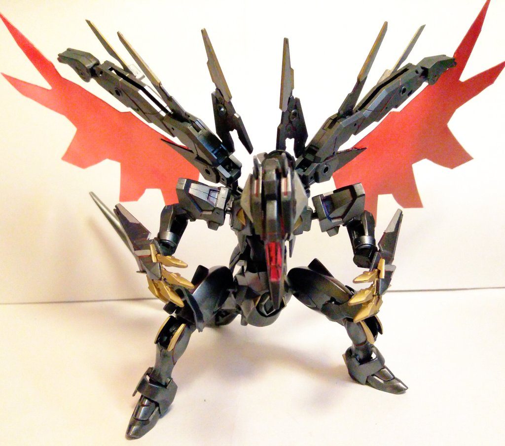 正面から。　やっぱ羽根がデカい....！