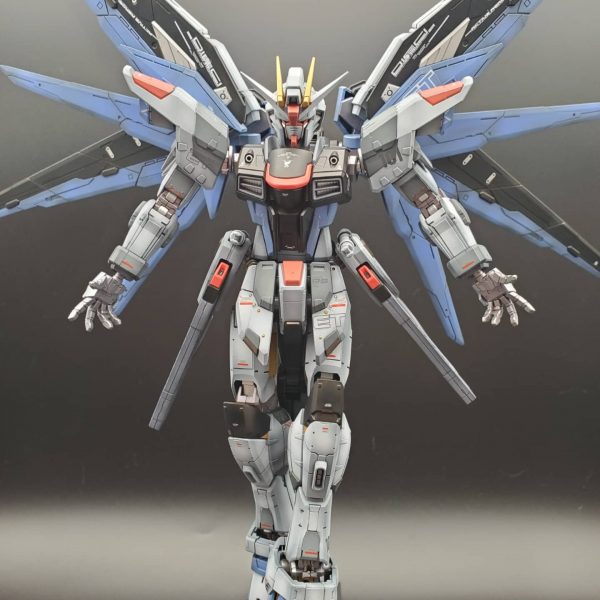 公式ショップ】 ケンプファー RG HG ザク ストフリ シンマツナガ 