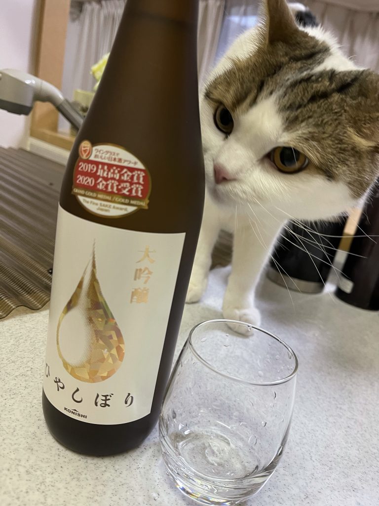どの模型店に行っても同じラインナップしか残っていない。旧作発売予定日でも瞬殺で買えずイライラ。ネット上には数多暗躍する転売ヤー。メーカーも積極的に状況を改善しようとはせず。売れ筋は直販のみのリリースで入手は数か月後。もうちょっとゆるく、気軽にプラモデルを買って楽しみたいですね。ここまで長々とお付き合いありがとうございました。流行り病などに屈せず、お互い楽しく過ごしていきましょう。ではでは、また次回作にて。