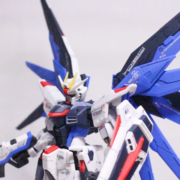 RG フリーダムガンダム