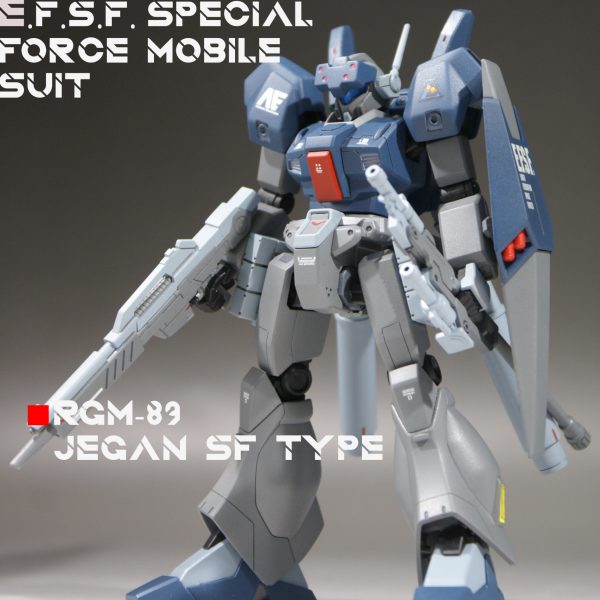 HGUC1/144 ジェガン 特殊部隊所属機
