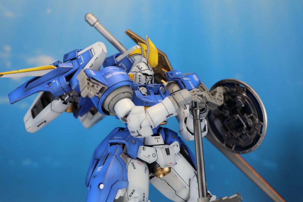 大きなトサカが特徴的ですね