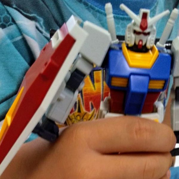 ガンダム洗脳計画