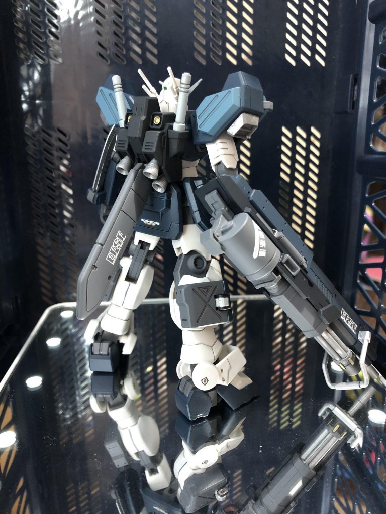 バックパックはペイルライダーＤⅡのやつを✨