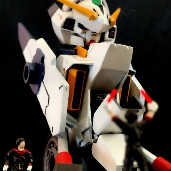 ティターンズの旗