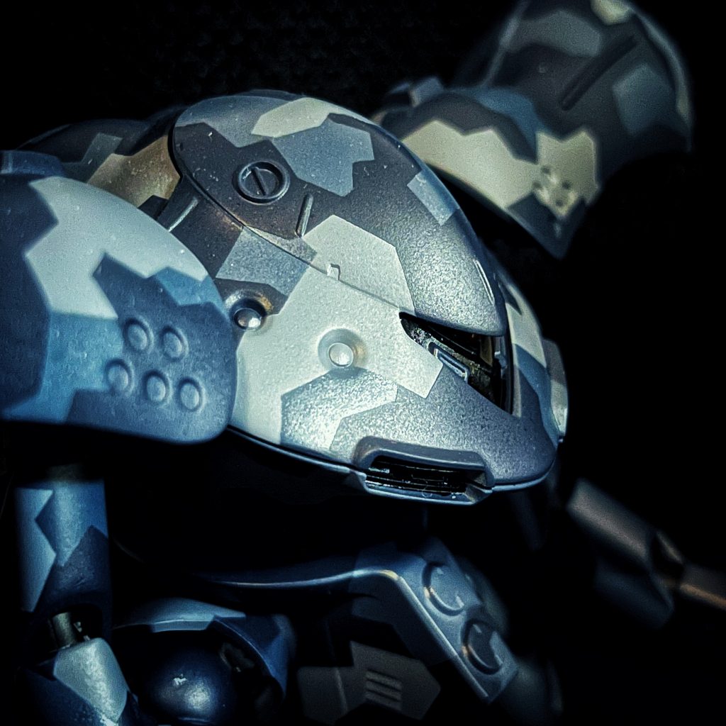 ハイゴッグ　スプリッター迷彩仕様–3枚目/制作者：J