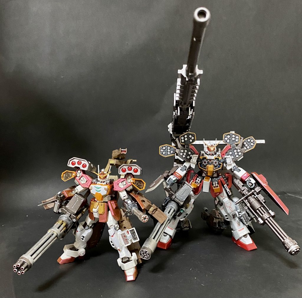 以前のHGが子供みたい