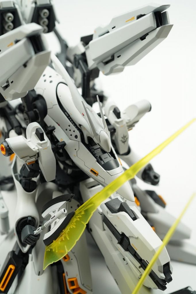 白なのでレッドチップも映えます。スジボリは最低限。