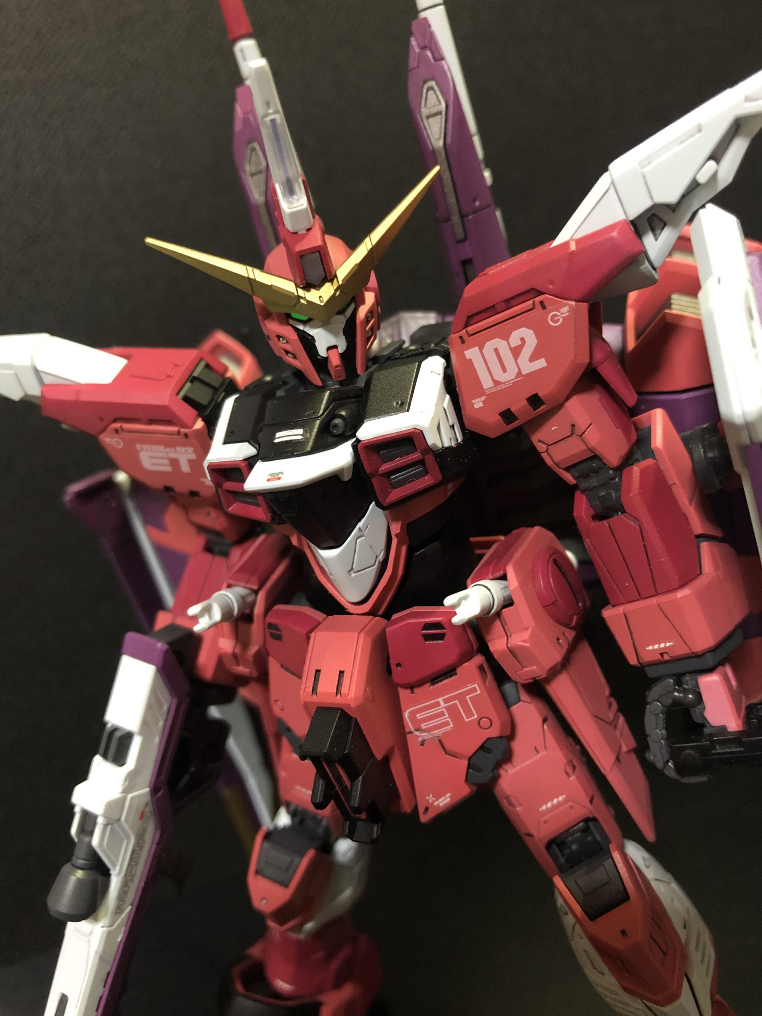 RG ジャスティスガンダム 塗装済完成品 ガンプラ www.disdukcapil