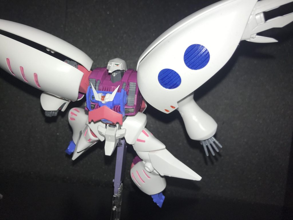 ピカ(•'-'•)（やめとけ）