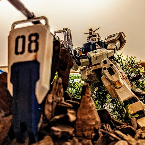 初めてのウェザリング