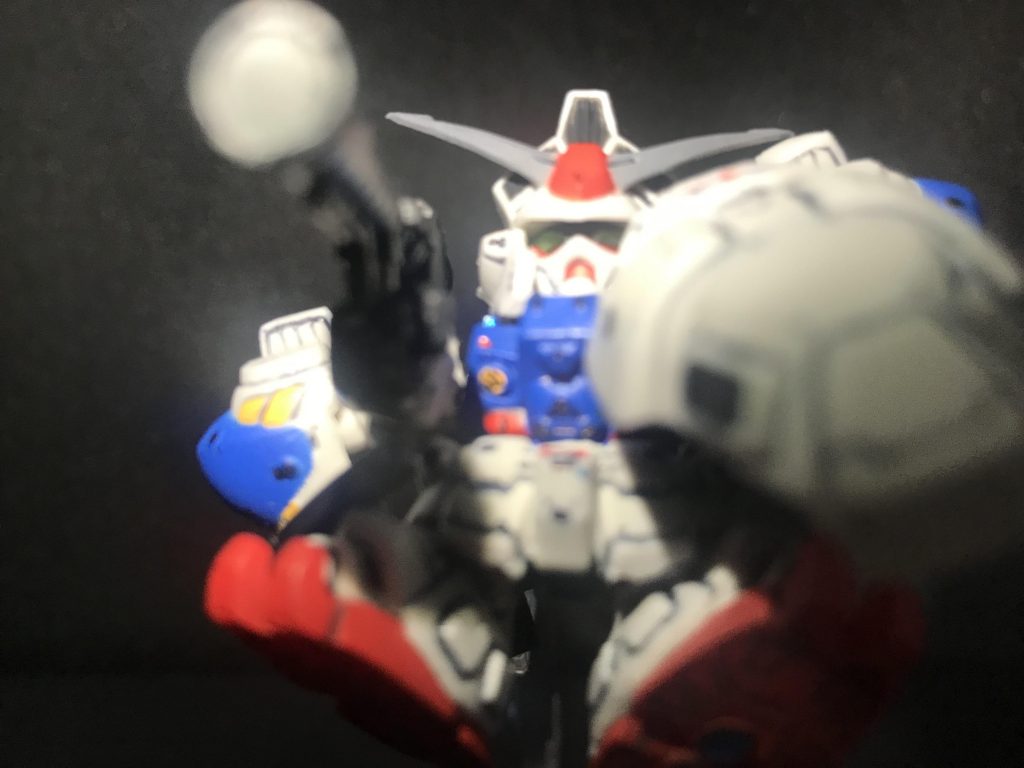 帰ってきた！…おかえり