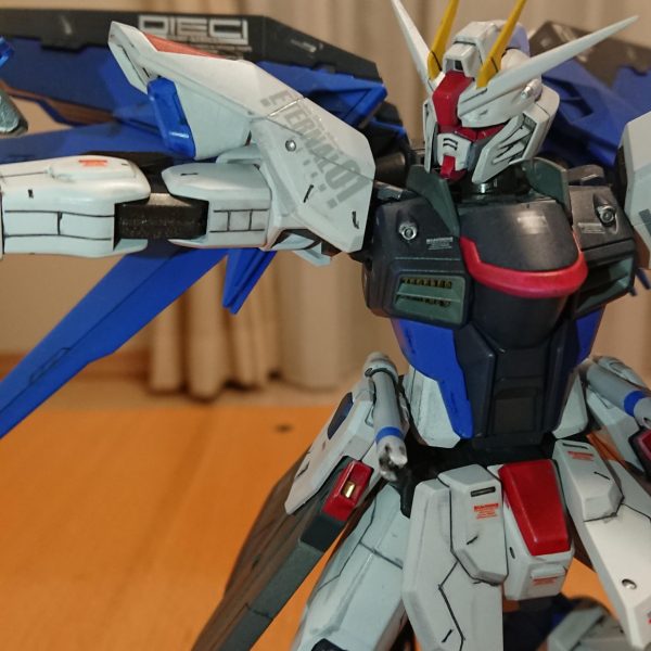 旧フリーダムガンダム SEED