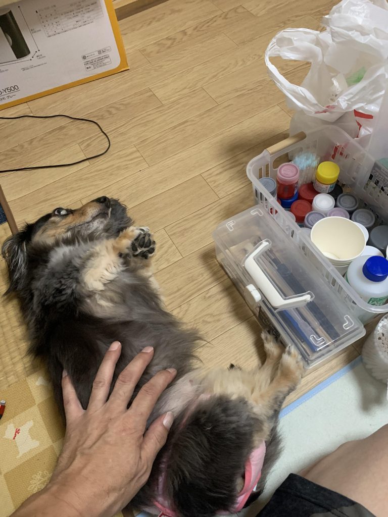 作業中のいつも風景(*´∀｀) ラッカー系塗料を使えない原因の一つでもあります。