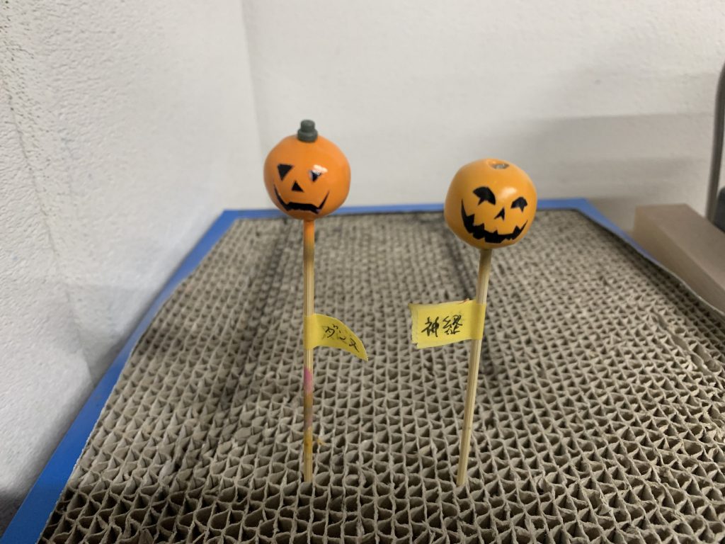 マフティー・ナビーユ・エリンだと!?