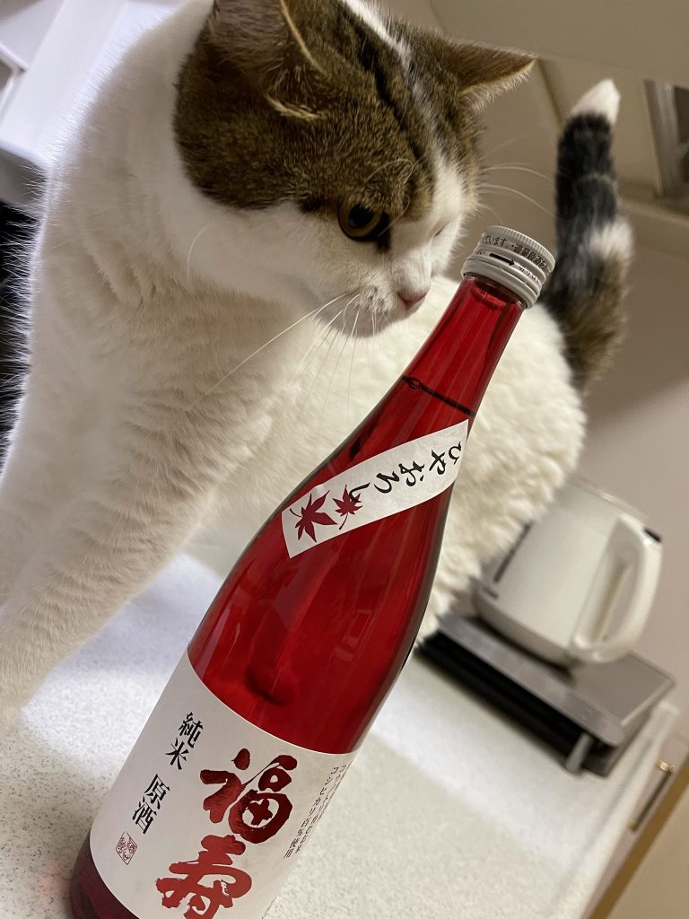 ゼットコン2作品目。リックディアス、間に合わないと思っていましたが、なんとか完成できました。やはり締め切りって偉大だ。 頭とボディを改修した時点で「このままでは間に合わん」と悟り、他の部分はディテールアップのみにとどまりました。ホントは腕も脚も全部手を入れたかったのですが、これぐらいがちょうど良いのかも。過ぎたるは及ばざるが如し。 ここまでご覧いただきありがとうございました。ではまた。