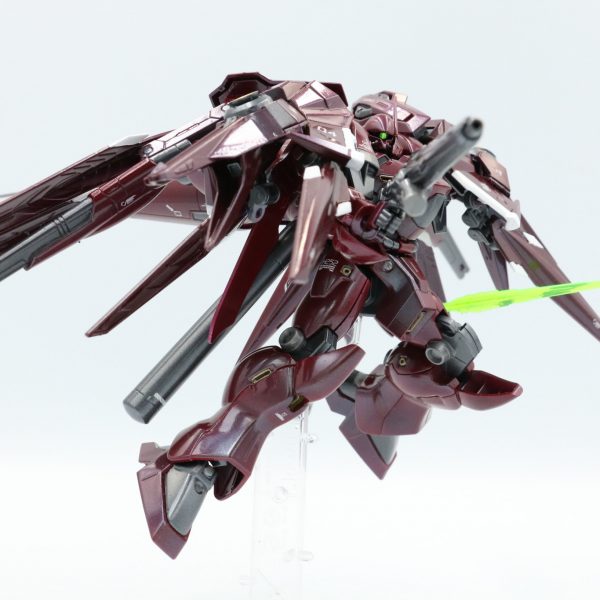 ガーベラテトラ・ブルーム