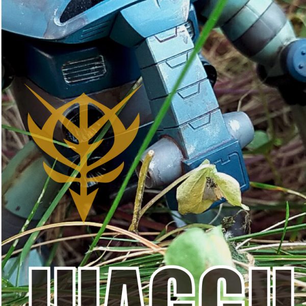 旧キット　ジュアッグ　オリジナルカラー