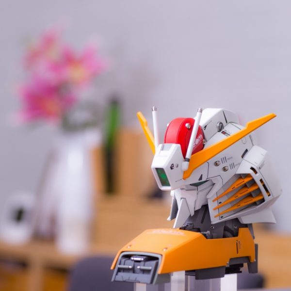 MG 訳あり　exsガンダム GUNDAM SENTINEL】MG 1/100 Ex-S Gundam wotafa's GUNPLA review