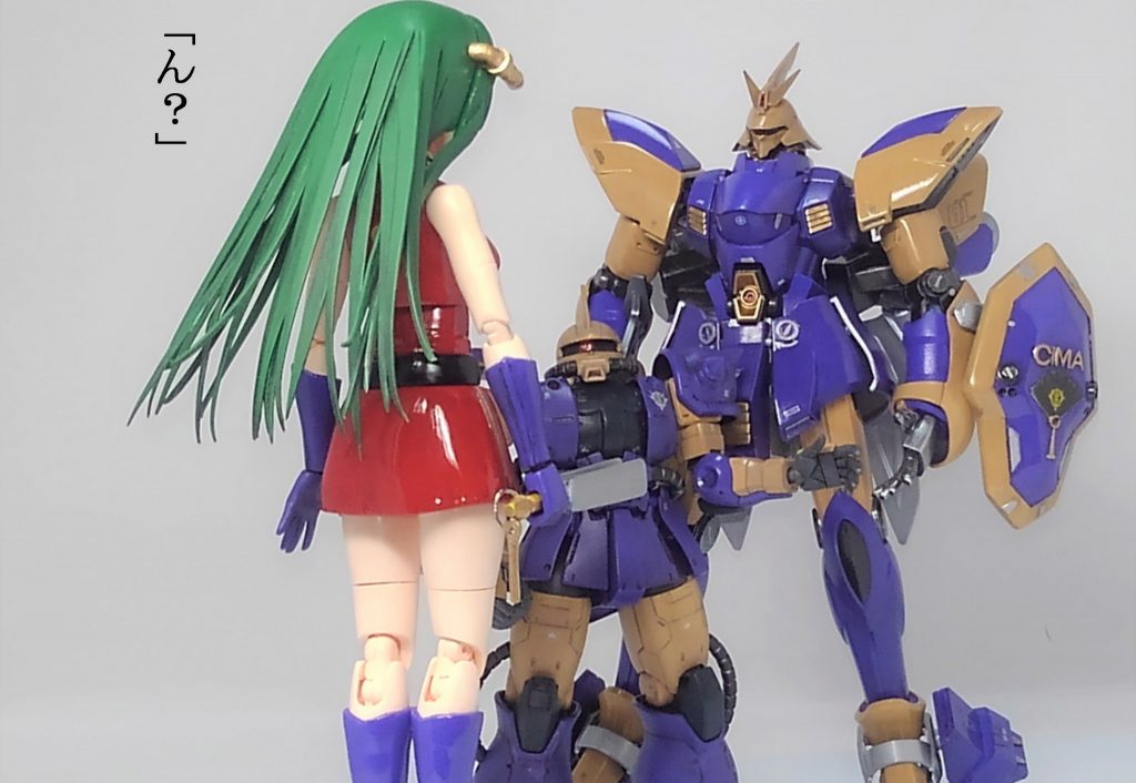 シーマ艦隊 ＆ 偽ゲルググ–4枚目/制作者：TOMSIM