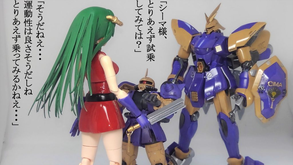 シーマ艦隊 ＆ 偽ゲルググ–8枚目/制作者：TOMSIM