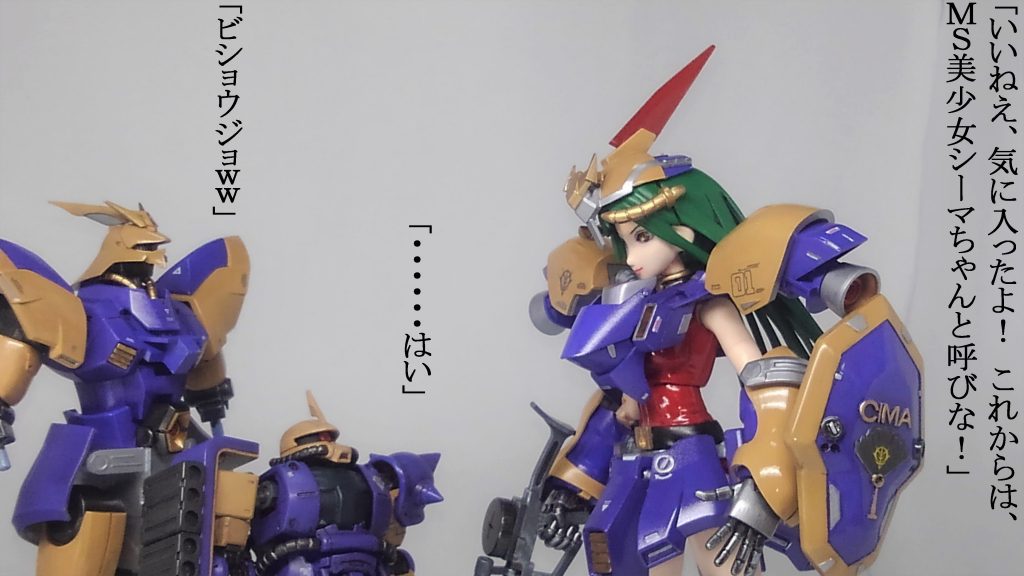 シーマ艦隊 ＆ 偽ゲルググ–3枚目/制作者：TOMSIM