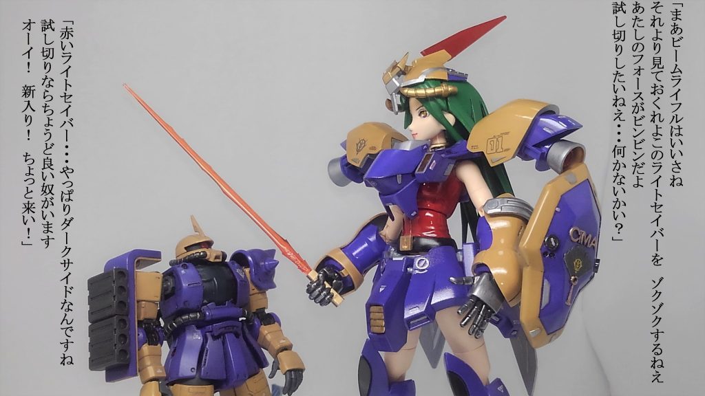 シーマ艦隊 ＆ 偽ゲルググ–5枚目/制作者：TOMSIM