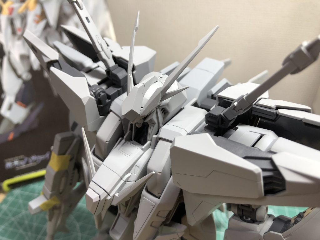 サフショット。