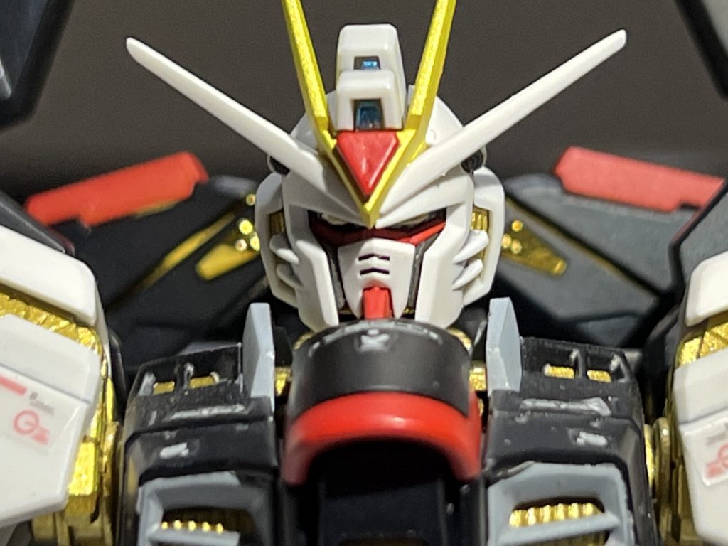 頭部のアップです。