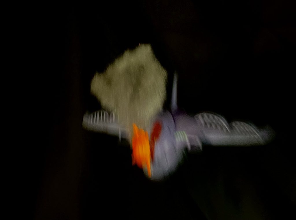 ジオン公国に栄光あれ！！