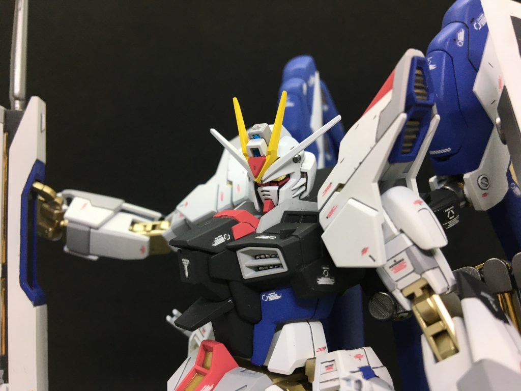 頭部はRGストフリをそのまま流用。アメスト胴体部はカラーリングでストフリらしく見えるよう、ハッチ上面をレッドで塗り分け。