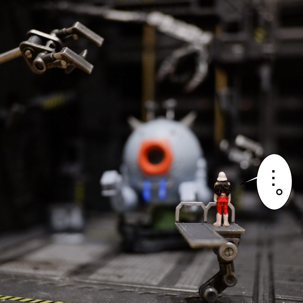 たぶんシャアは絶句したことでしょう笑