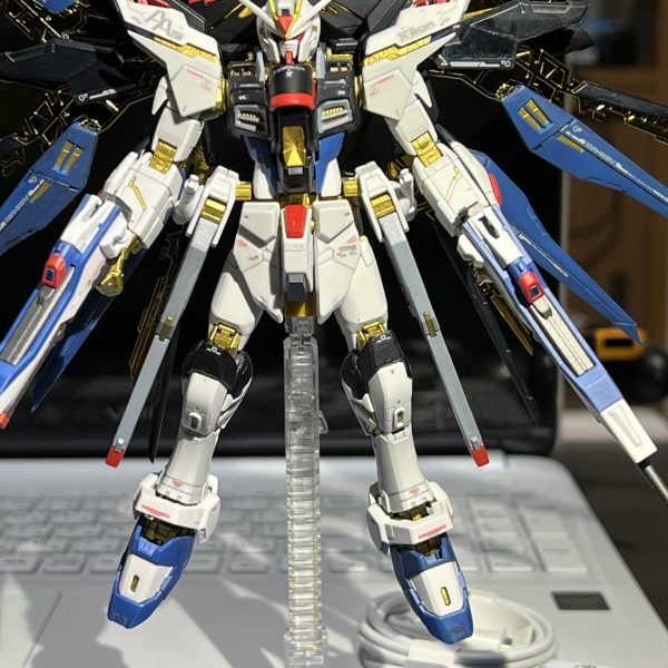 RG ストライクフリーダム