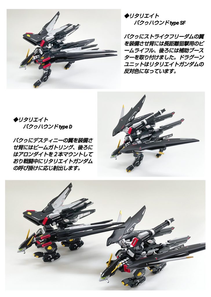 HGBF ストライクフリーダム  リタリエイト フルウィング & リタリエイトバクゥハウンズ–4枚目/制作者：Ririto