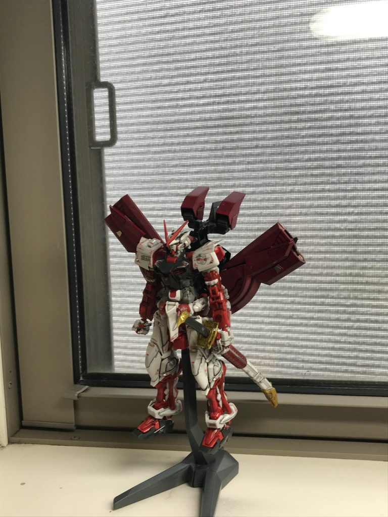 窓に飾ってます