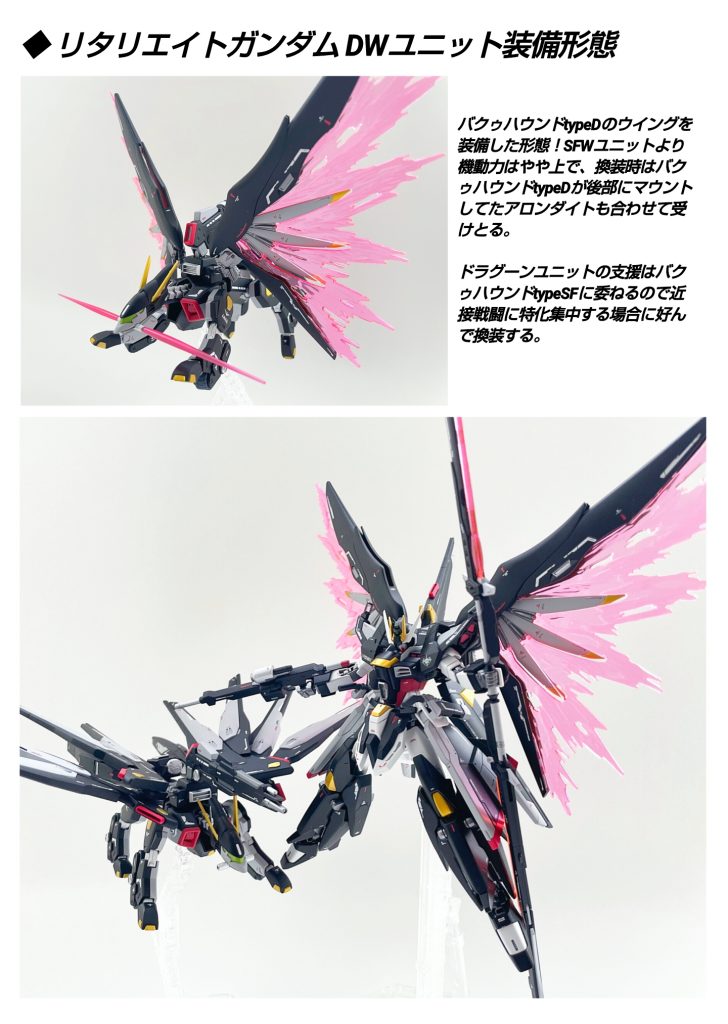 HGBF ストライクフリーダム  リタリエイト フルウィング & リタリエイトバクゥハウンズ–7枚目/制作者：Ririto