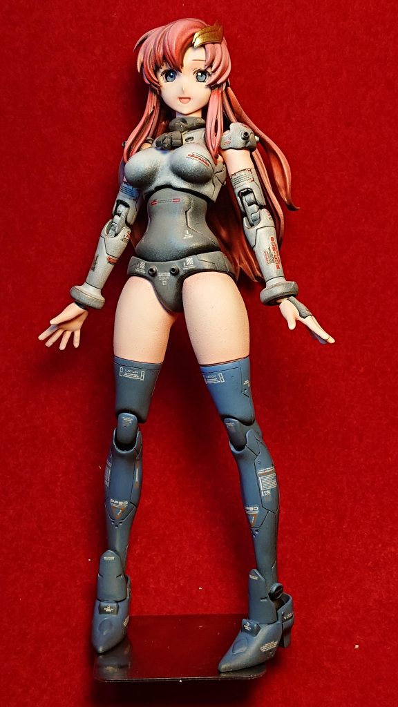 今回の作品はラクスとサラのミキシングです。設定はパイロットスーツです。