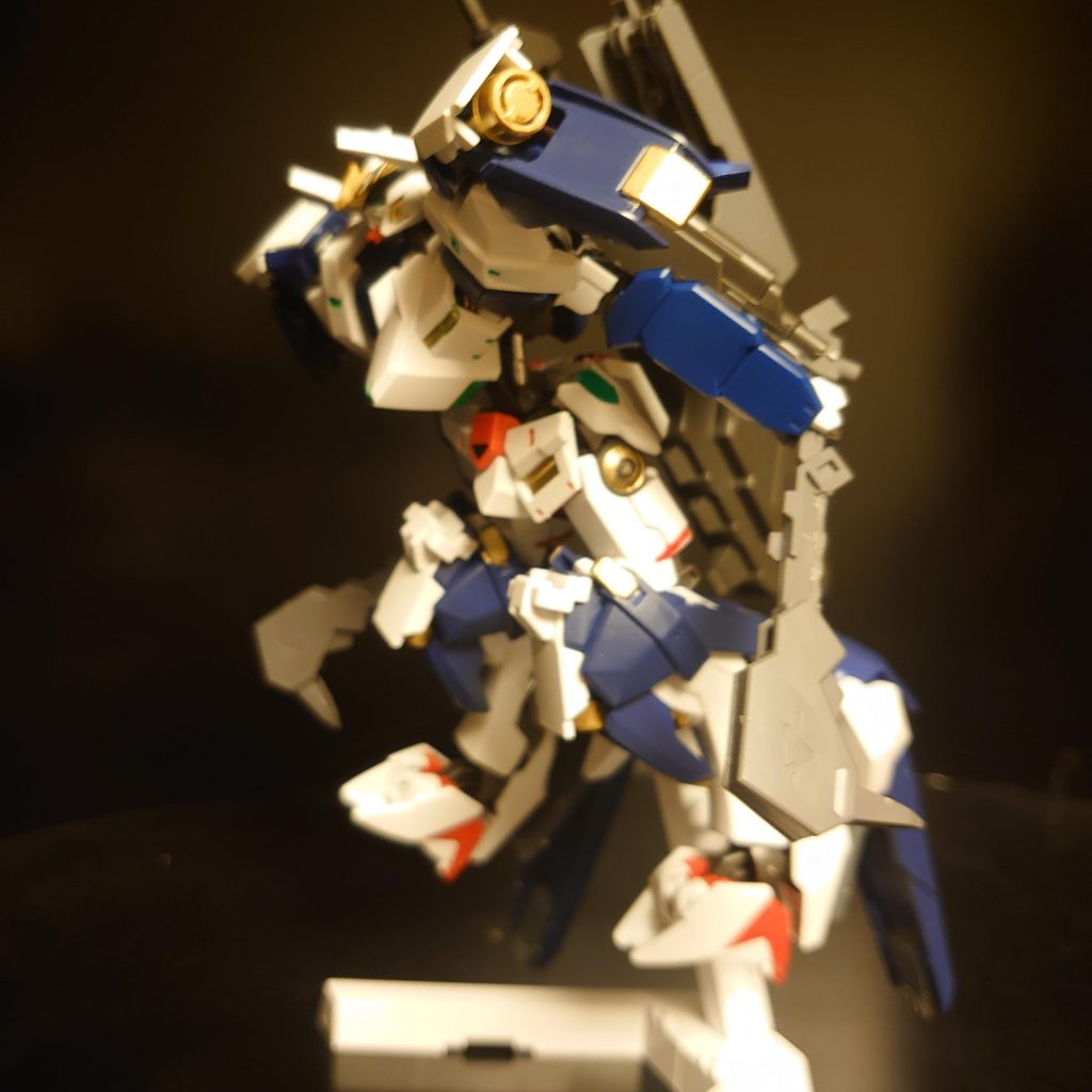 こ、高機動過ぎて写真がぶれたのでございます。(スマホでボケずに撮りたい)