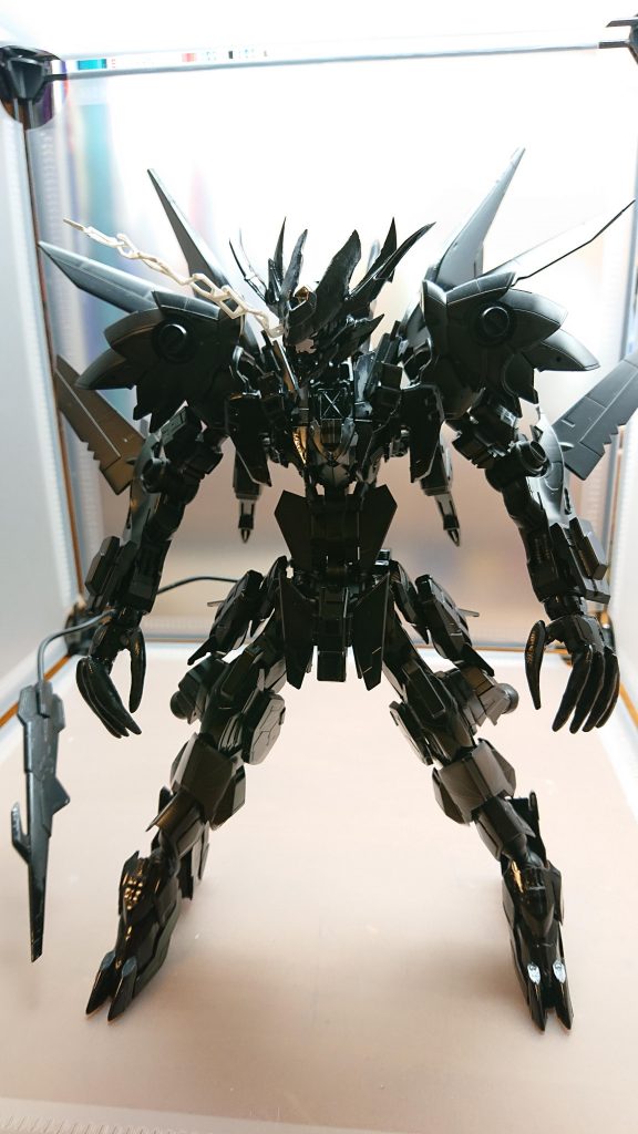 写真だけでわかりませんが全身が延長工作をしているためかなりデカイです