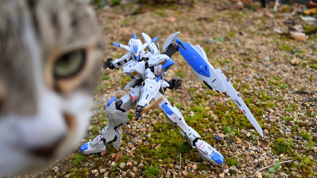 撮影してると、いつもうちの猫が邪魔しに来ます。