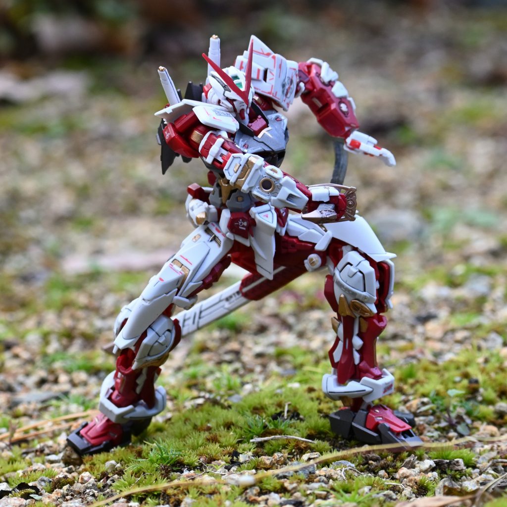 RG　ガンダムアストレイレッドフレーム–5枚目/制作者：jigen